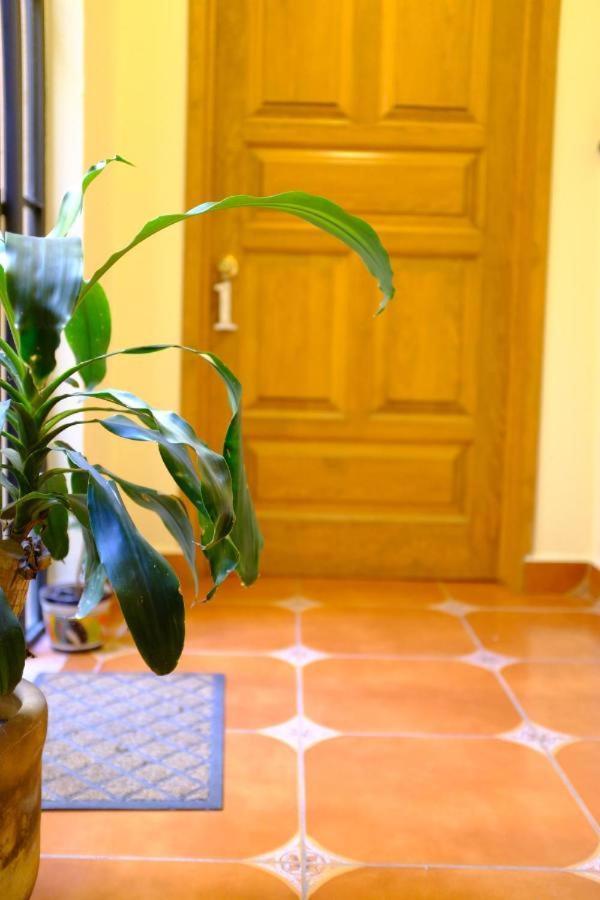 Pozzito Boutique Bed and Breakfast San Miguel de Allende Esterno foto